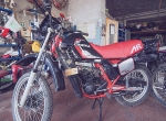 AMAg037